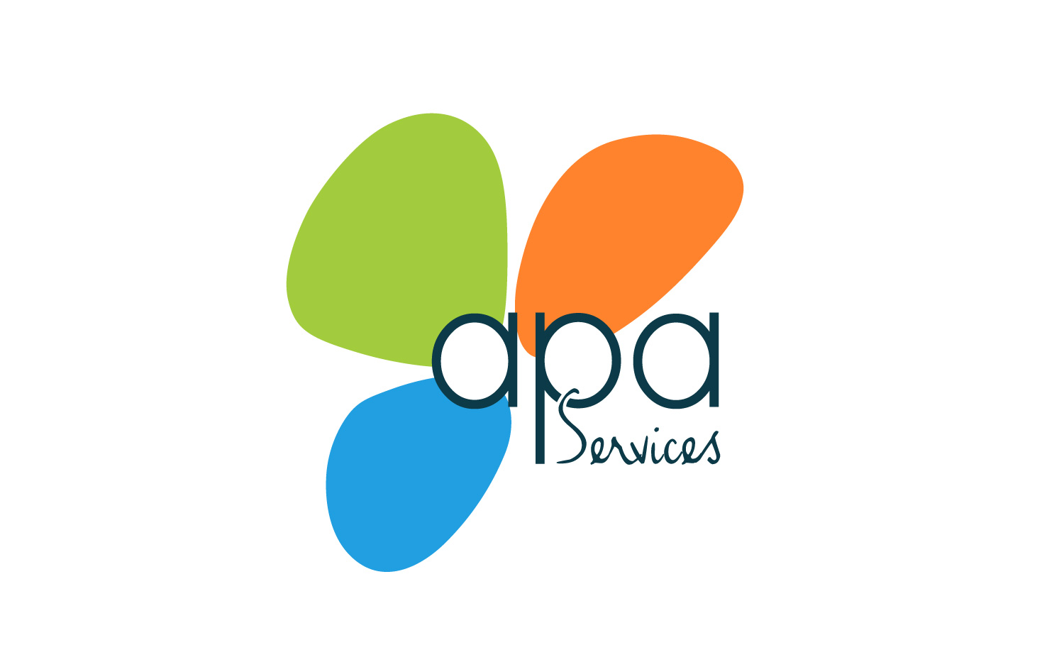 APA-Services-Logo